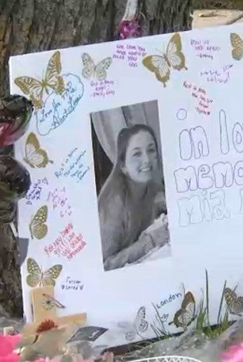 Mia Maro Tinley Park Illinois - Andrew High School Student Homicide Case Details, Tribute Explored