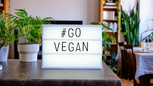 vegan business ideas